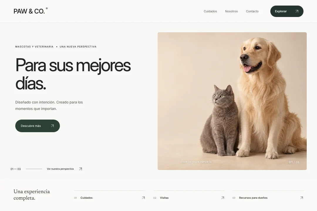 PAW & CO. / Presencia digital · Concepto original de sitio web para mascotas y veterinaria: cuidados, visitas y recursos para dueños, en una experiencia coherente.
